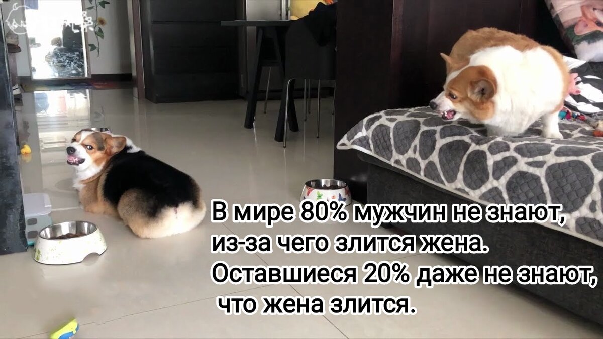 Фото из интернета в обработке автора