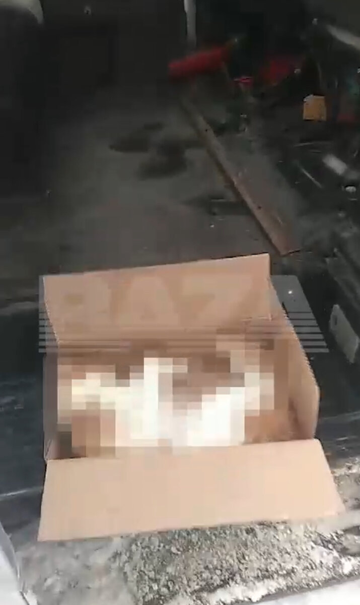 проводница твикс уголовное дело. смешная проводница. проводник пассажирского вагона. проводник поезда. проводница в поезде.