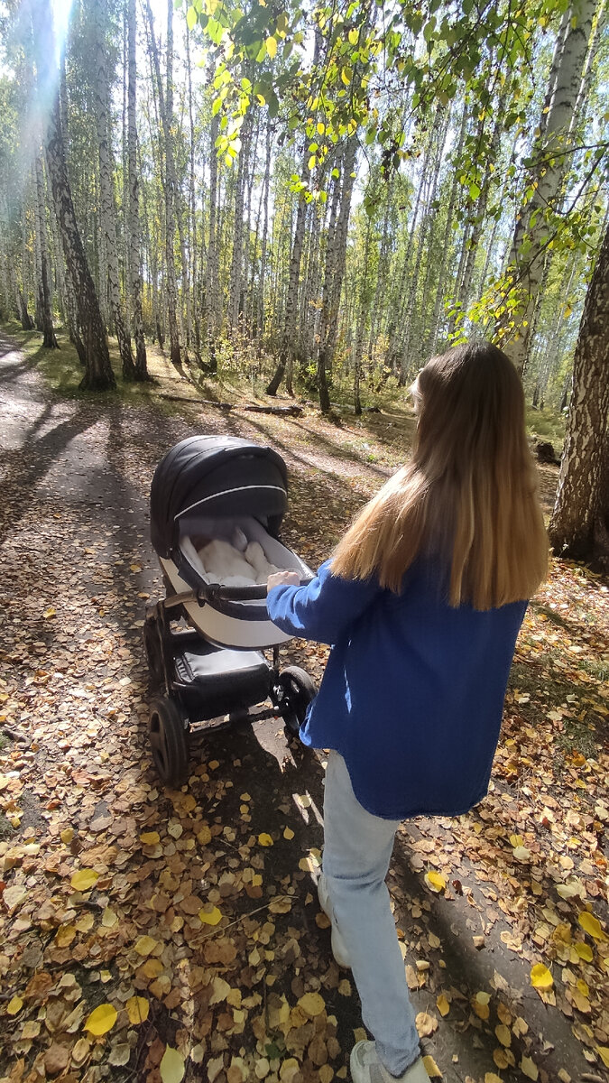 Первая прогулка