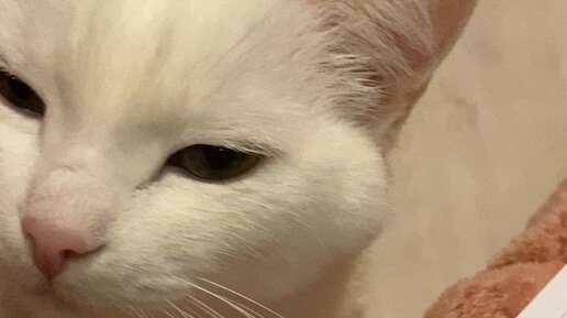 Flew идиома. No handle перевод. Fly off the handle идиома. Door fastener. No handle перевод.