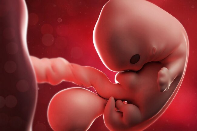 ноет живот беременность 9 недель. болит поясница при беременности. 9 акушерская неделя беременности. ноет живот беременность 9 недель. живот на 10 неделе беременности.