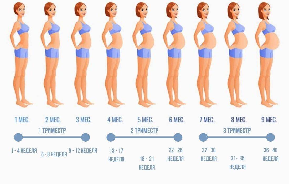 Беременность третий недель