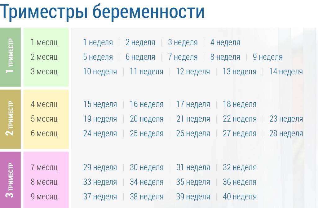 Как считать календарь беременности правильно недели - TouristMaps.ru