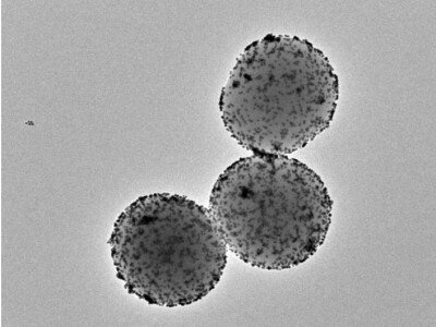    Созданы нанороботы для лечения рака мочевого пузыря