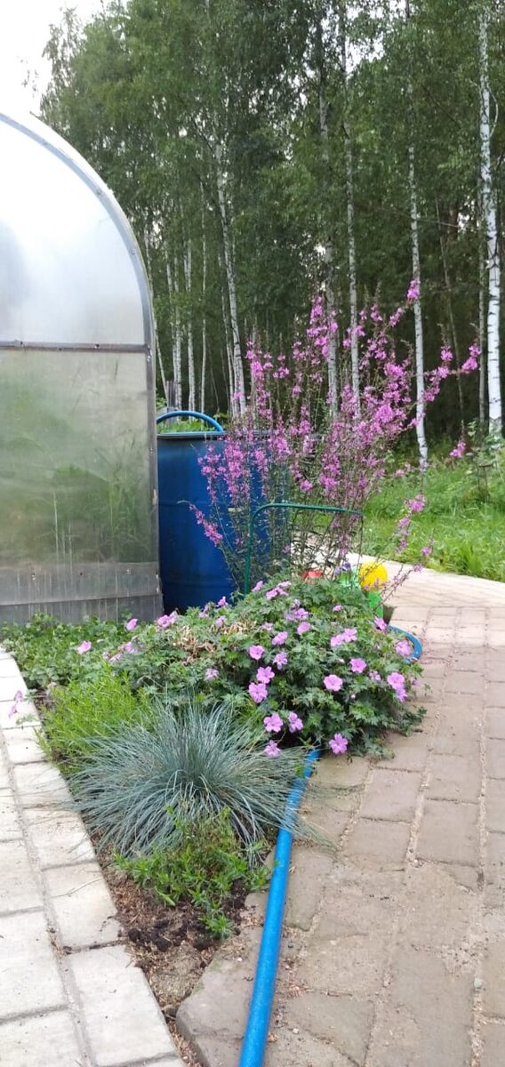 Дорожка к теневому цветнику