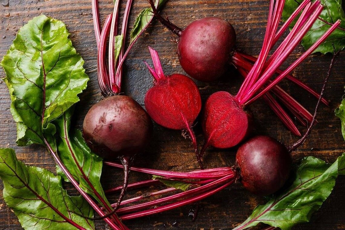 Свекла beetroot. Сорт свеклы Кросби. Свекла столовая (Beta vulgaris).