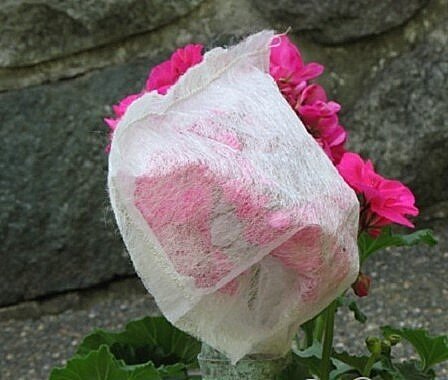 Мешочек из дышащей ткани или сетка от насекомых для защиты от опыления насекомыми.