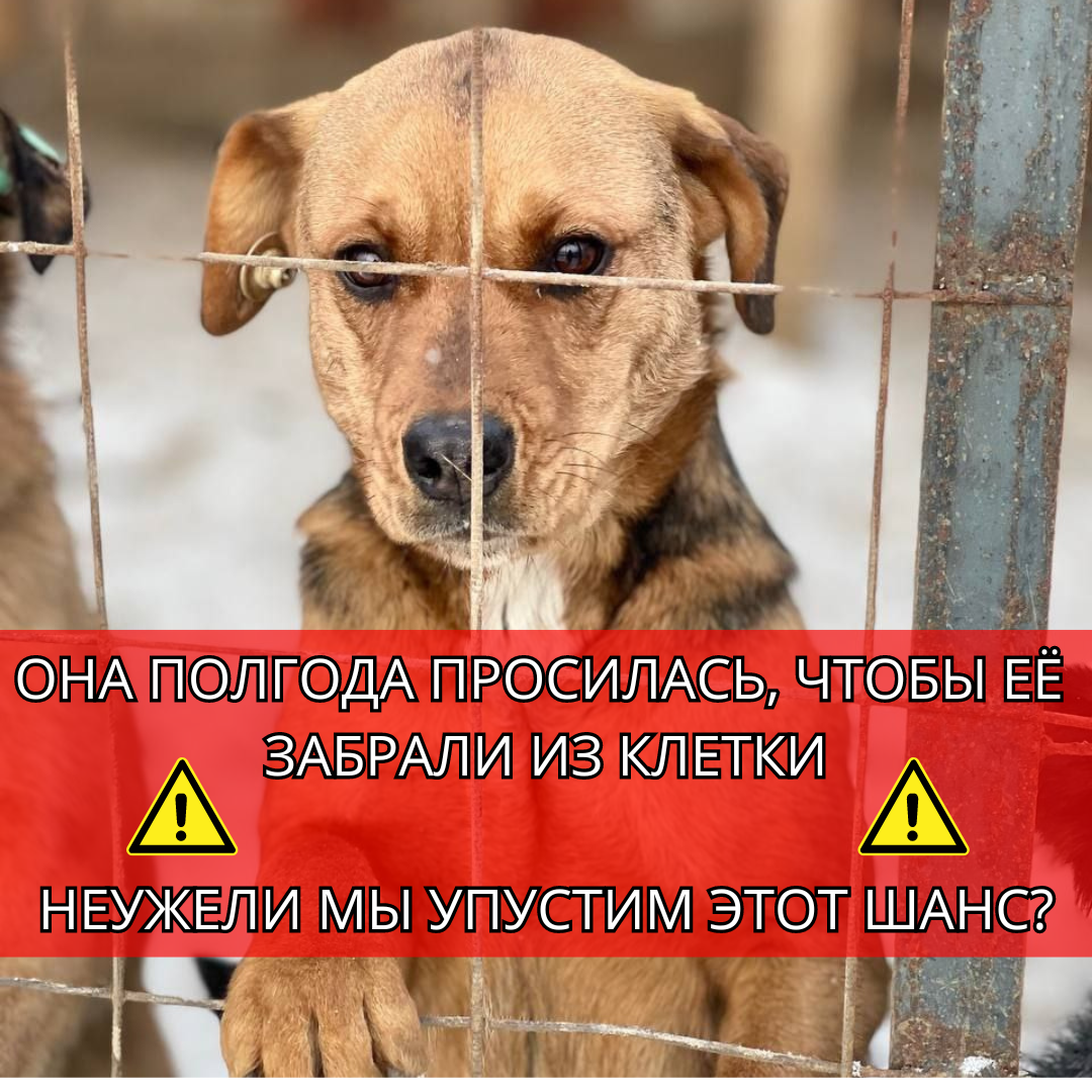 изменения после отказа от алкоголя. плакат алкоголь. ударим пьянством по алкоголизму. трезвость норма жизни. не пить пол года.