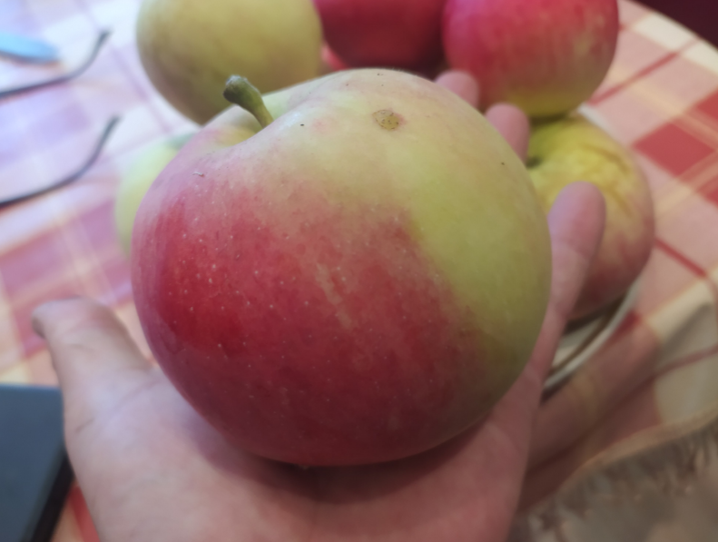 домашние уральские яблочки