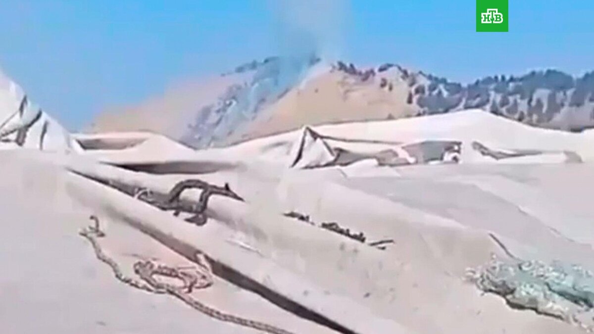    Кадр из видео: @AzraMansoorAhm1 / twitter.com