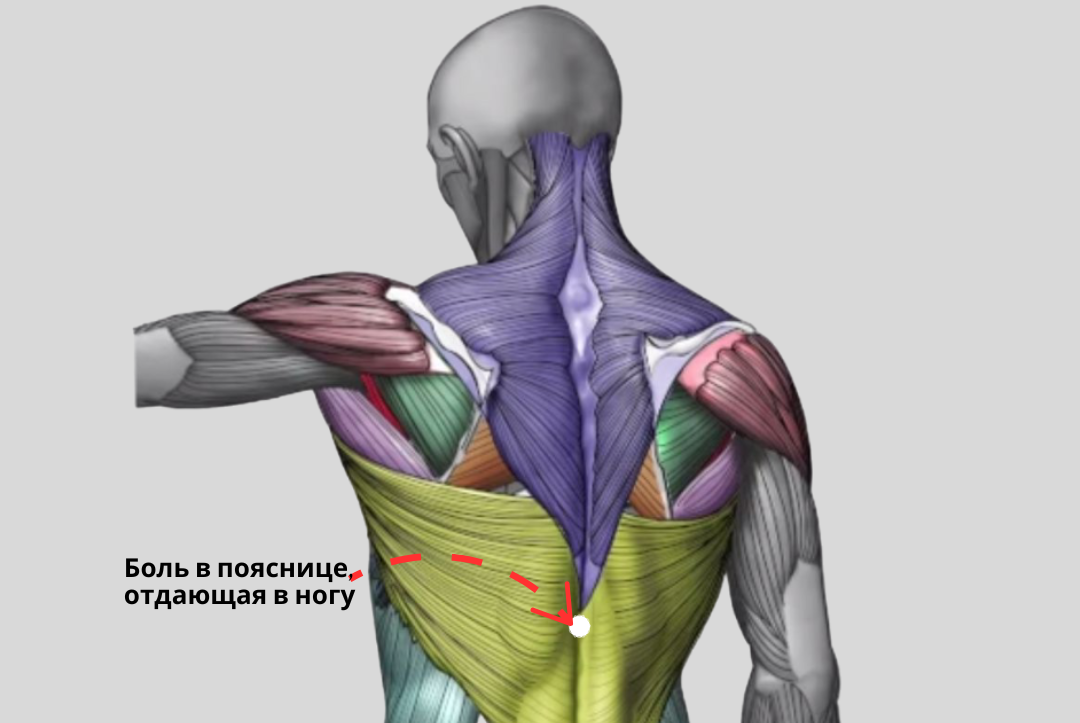 Тянущие боли поясницы причины