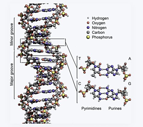 Стартап кб. Super up кб. Стартап хакатон. Startup кб. Хакатон сколково 2018.