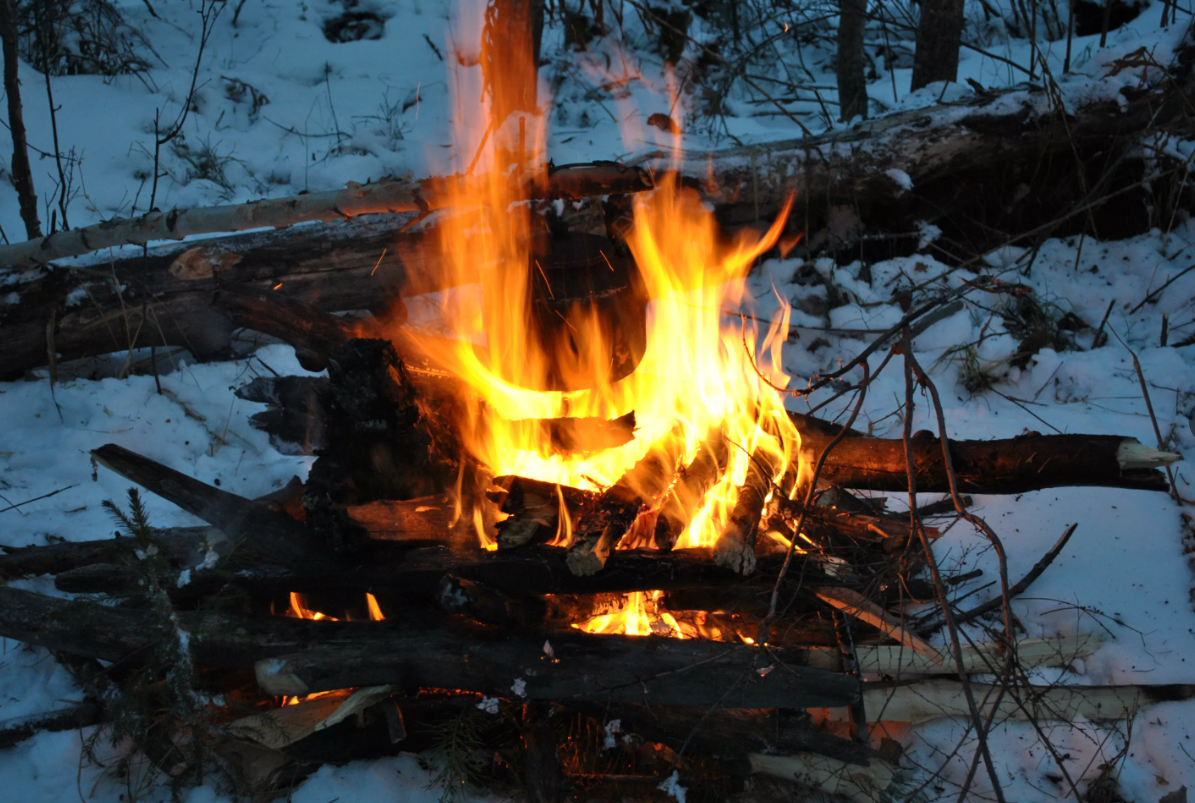 Яндекс картинки