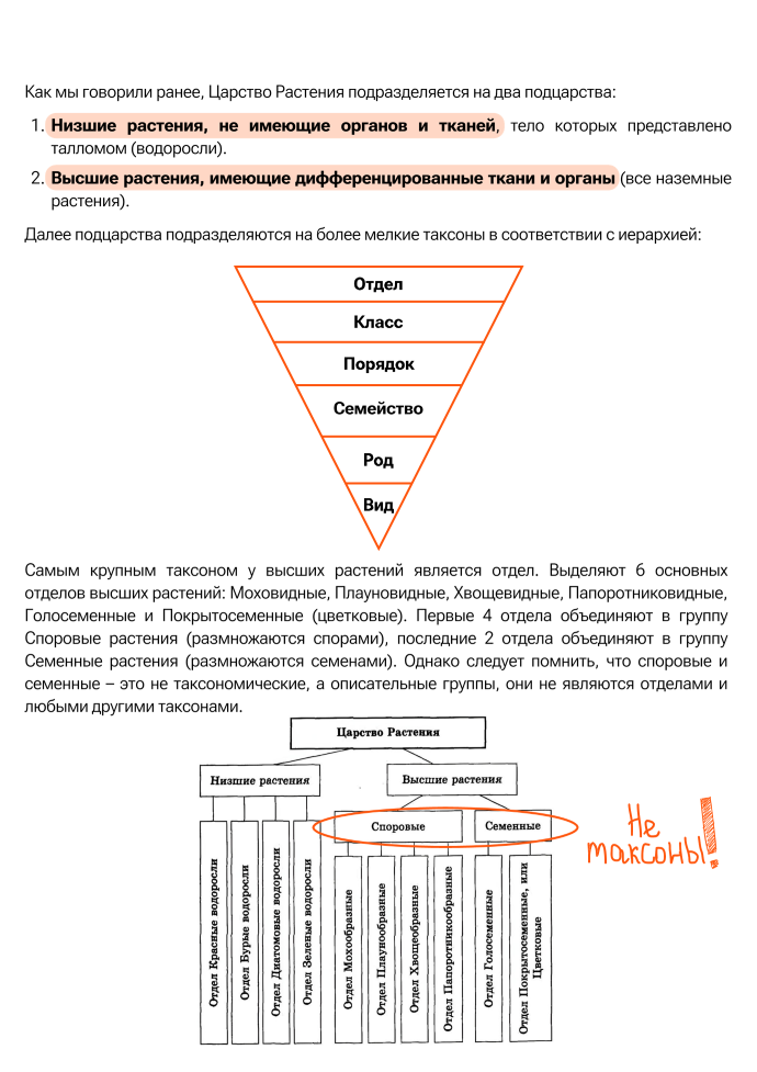 Высшие споровые растения схема. Отделы растений огэ. Отделы царства растений таблица. Отделы растений егэ. Барбарис видоизменение листьев.