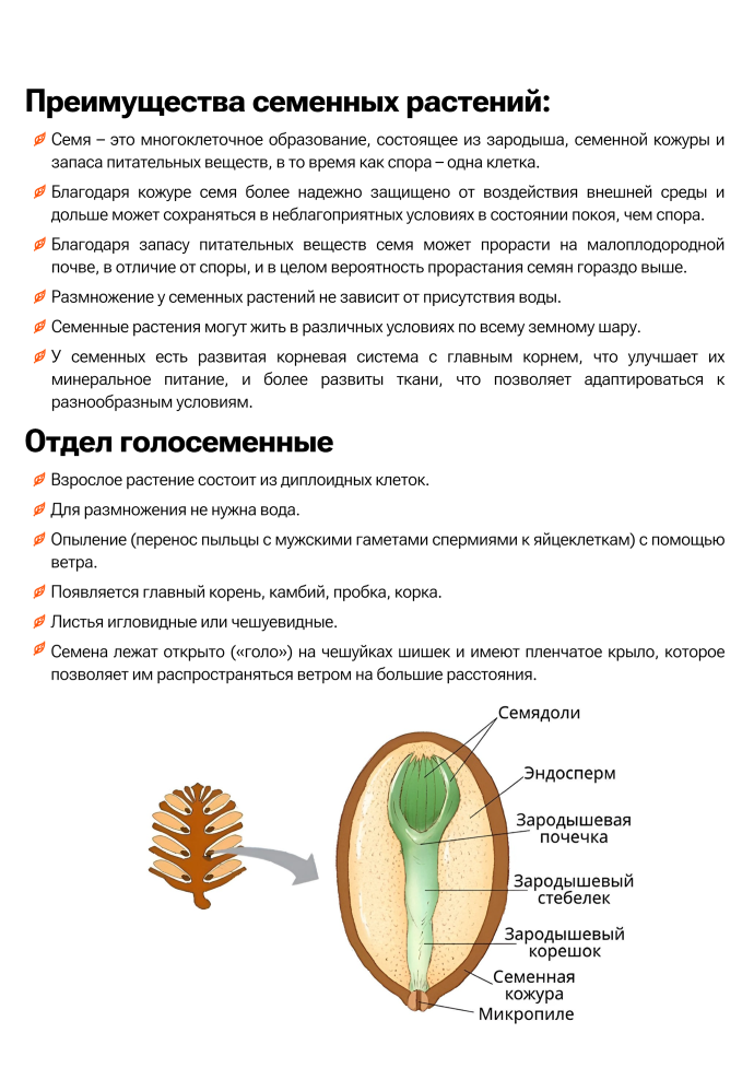отделы царства растений 6 класс биология. мохообразные высшие споровые растения характеристика. характеристика растений егэ. строение побега егэ биология. характеристика растений егэ.