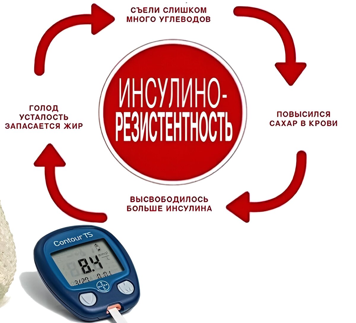 ЗАПОМНИТЕ! Чем больше вы съели углеводов - тем выше сахар и инсулин и тем выше ЖОР!