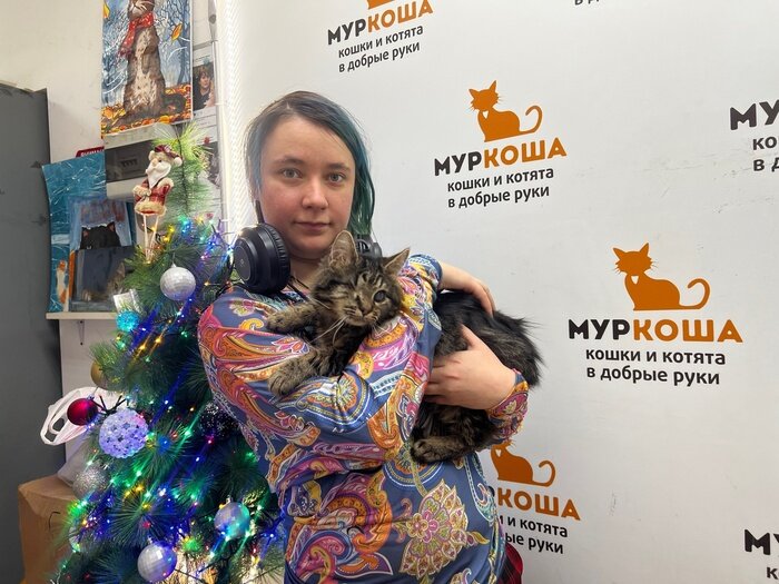 Как стать кошкой реально. Как стать кошкой реально. Кэти лайонс кошка. Как стать котиком в реальной жизни. Старая дева с кошками.