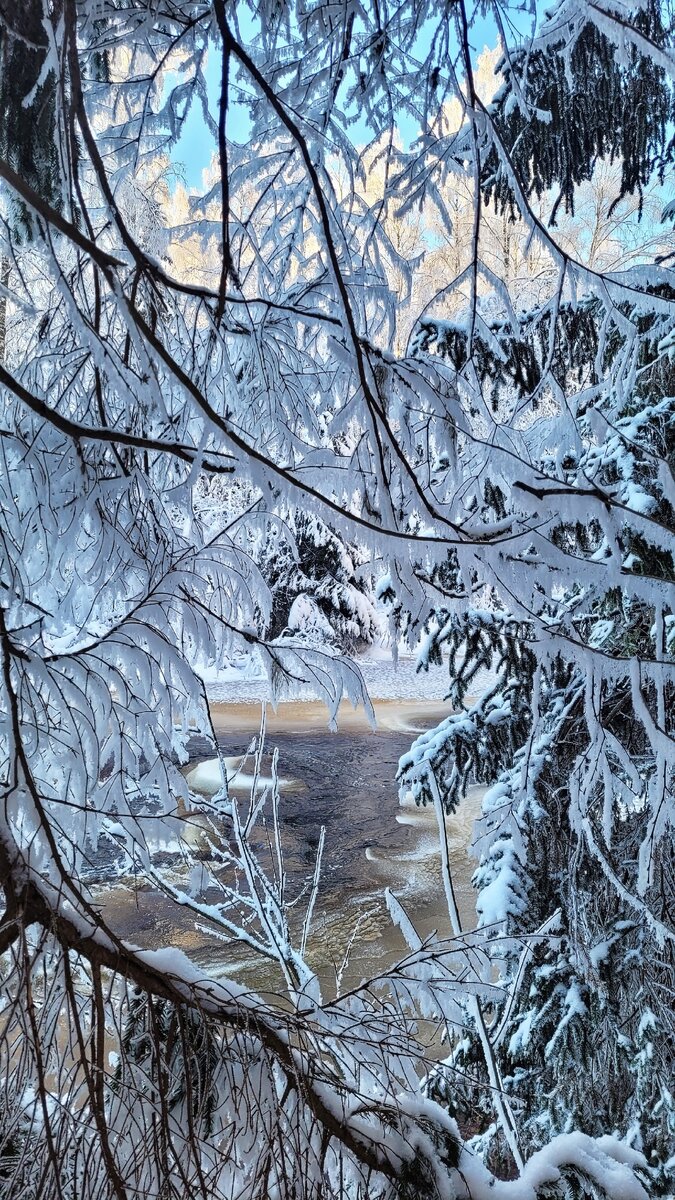 Мужчина на пляже со спины. Что есть в номерах лето лето. Сланцы для моря. Серфер на пляже. Шляпа и очки на пляже.