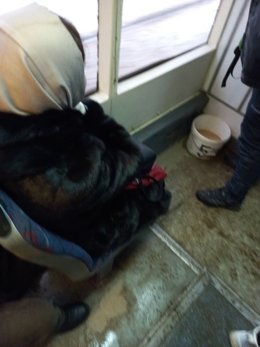 Обычный Смоленский трамвай...