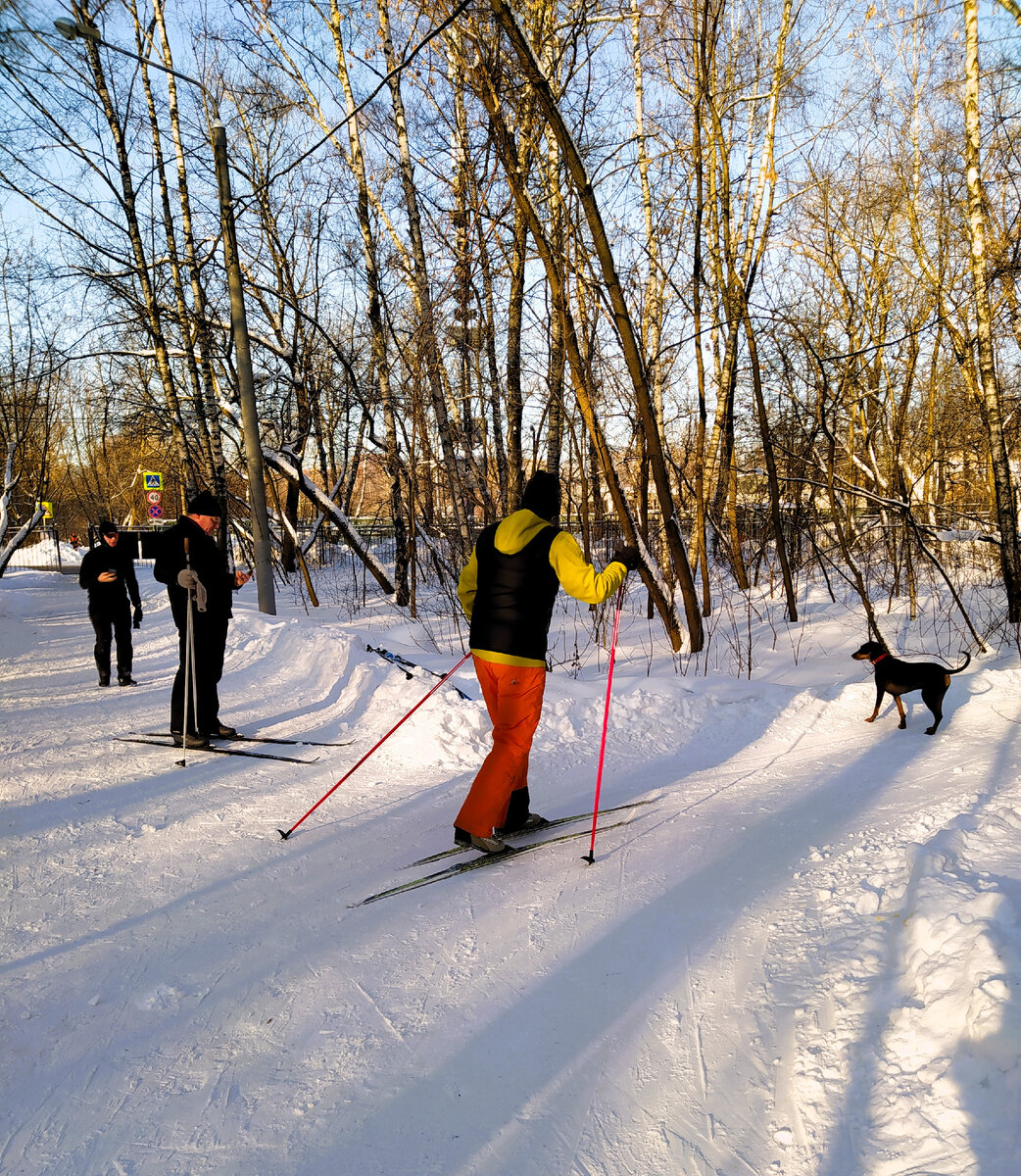 Сокольники. Воскресенье. Фото автора.