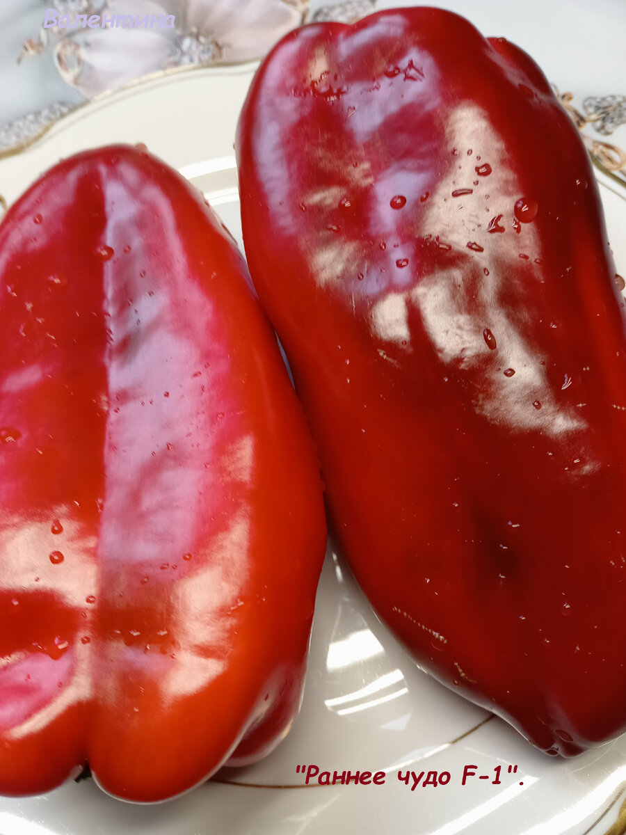 Плоды сильно глянцевые.