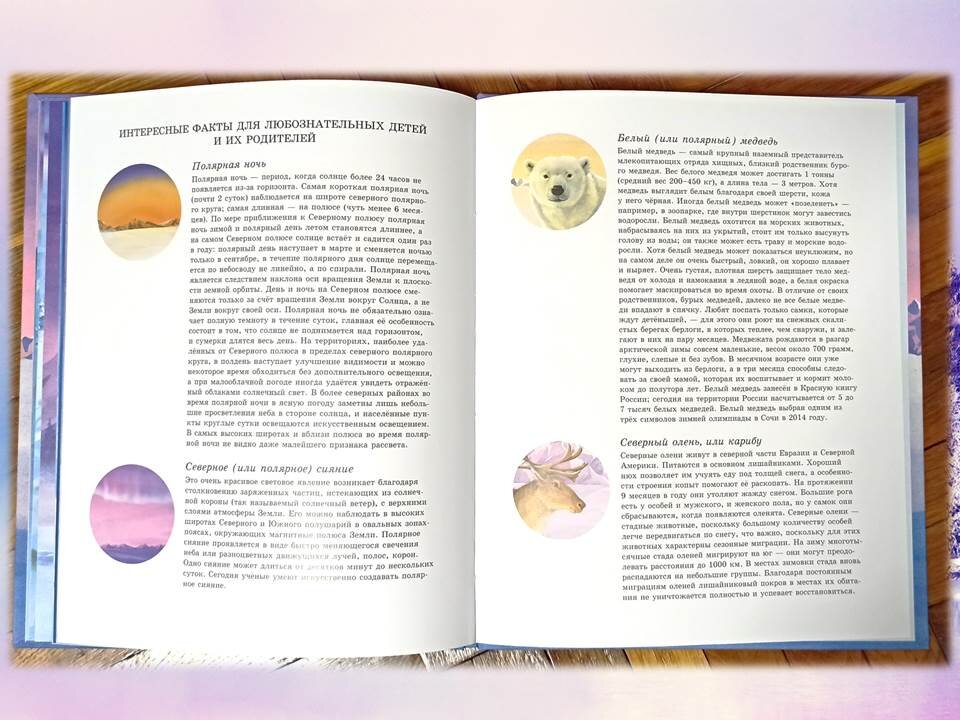 белый медведь презентация. белое движение это в истории определение. доклад про белого медведя. история про белую. сообщение на тему белый медведь.