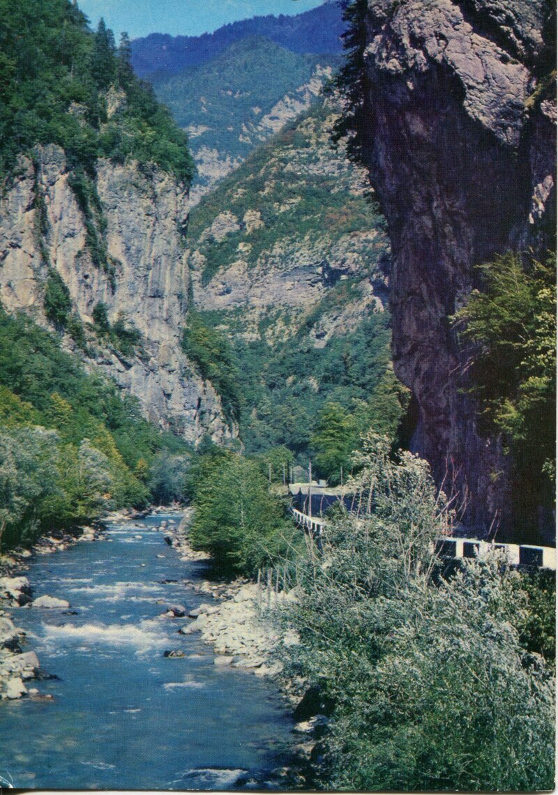 фото из Интернет.