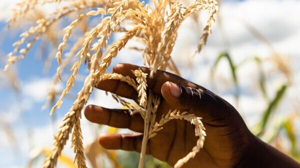    © AFP 2024 / JEKESAI NJIKIZANA