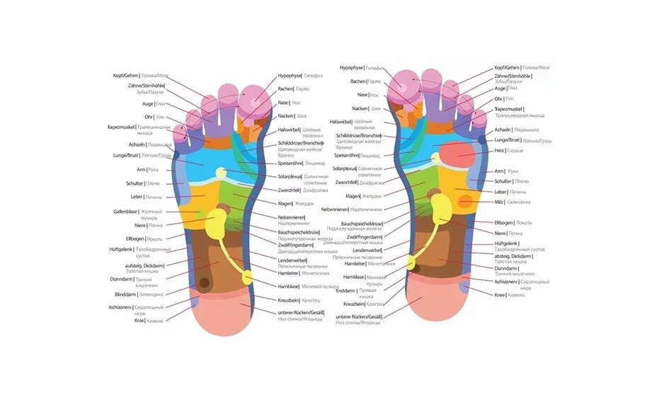 области, которые обрабатывает хороший массажер