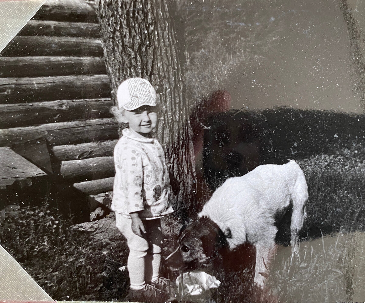 Я , ракита и Чап I. С этой стороны сарая традиционно стояла собачья будка.