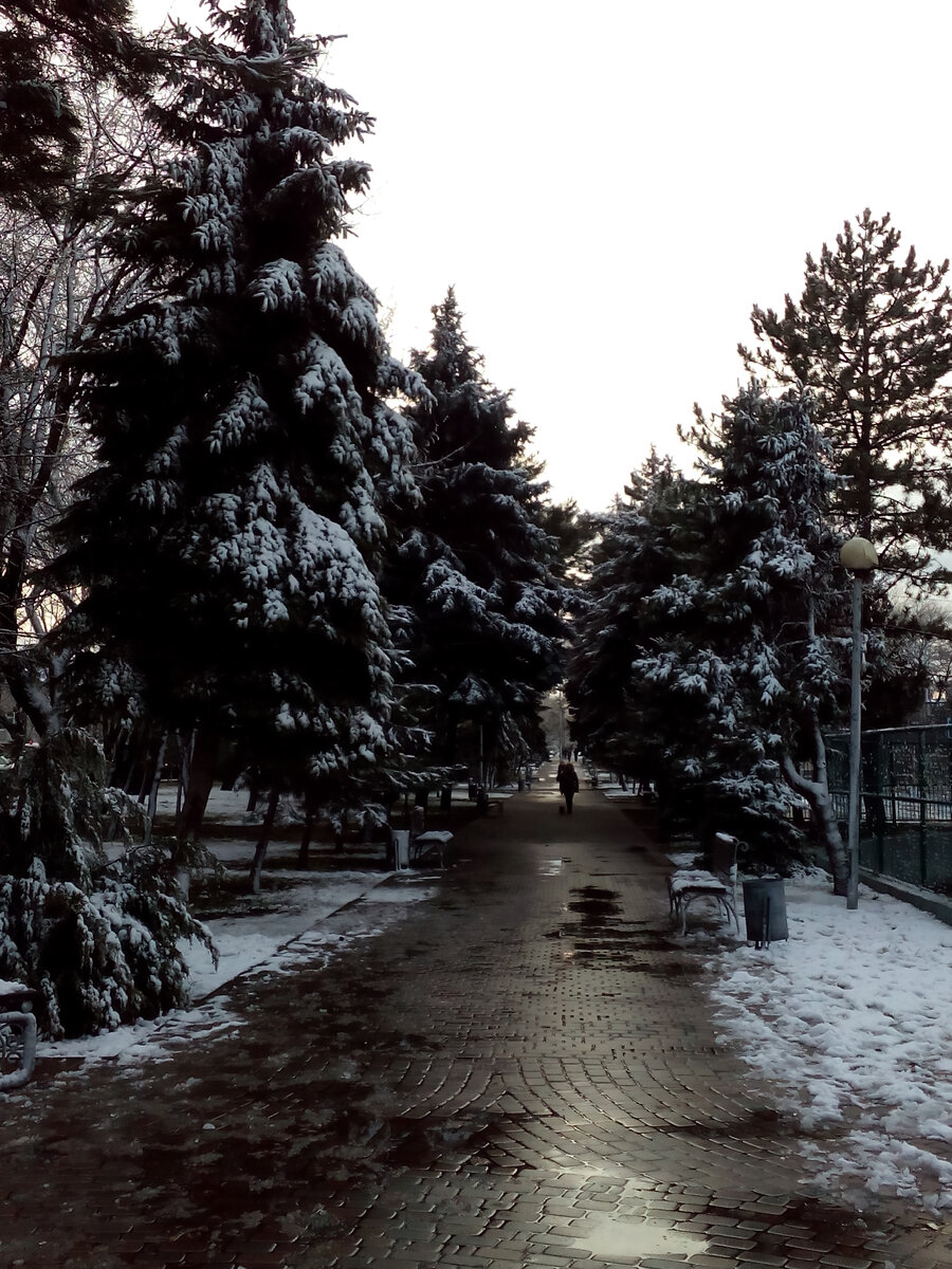 Не каждый год такое можно увидеть - снег в Анапе