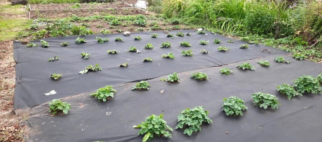 Фото из открытого источника