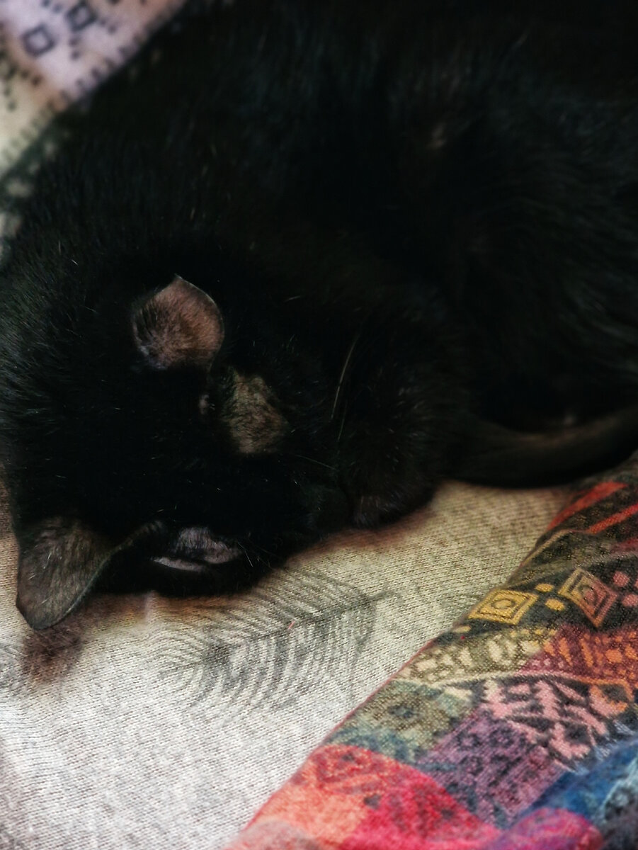 Старичок у батареи греется