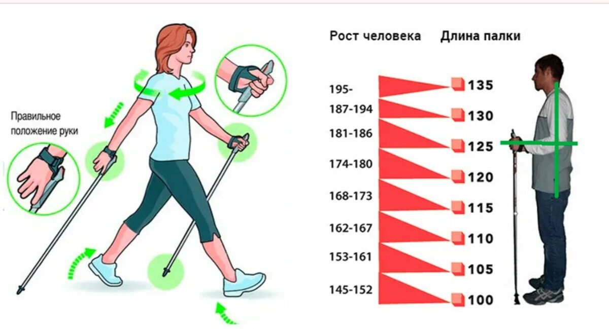 Силовая ходьба что это. Методика скандинавской ходьбы для начинающих. Инструкция по скандинавской ходьбе с палками для начинающих. Скандинавская ходьба с палками техника ходьб. Правила ходьбы со скандинавскими палками для начинающих.