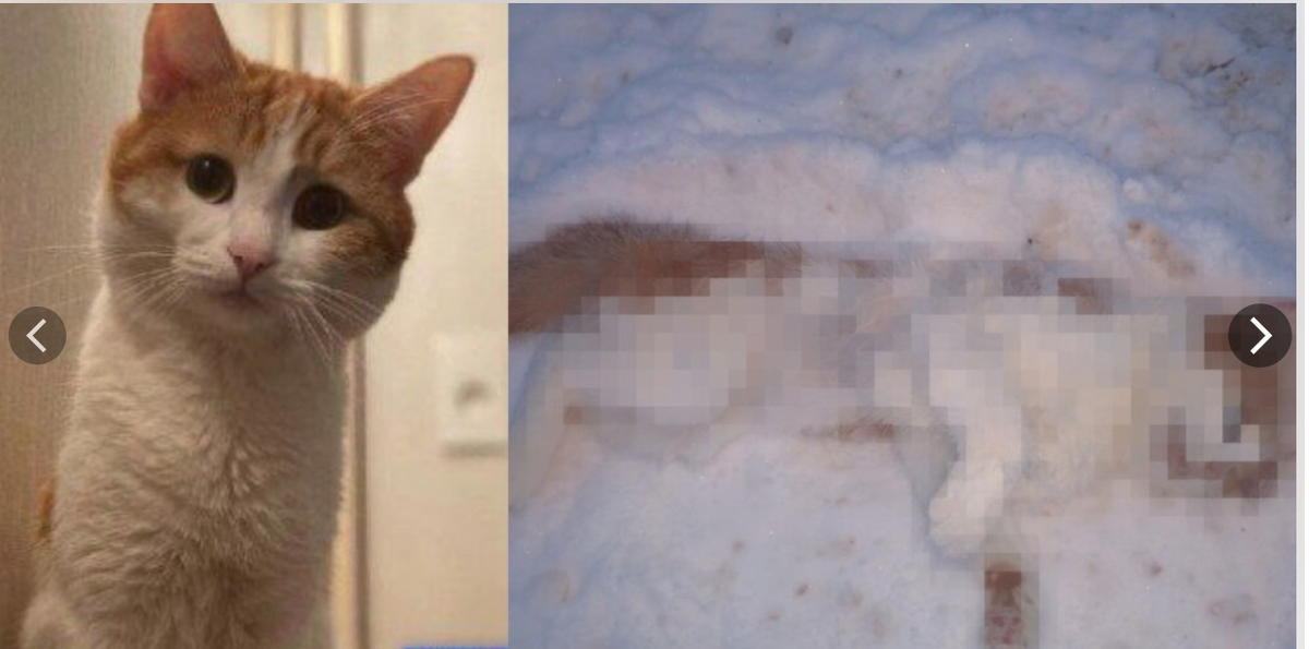 Можно выбрасывать фото
