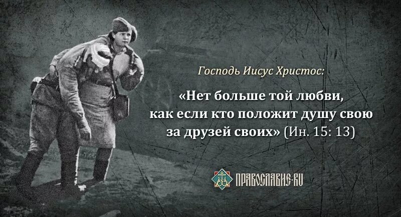 Из открытых источников Яндекса.