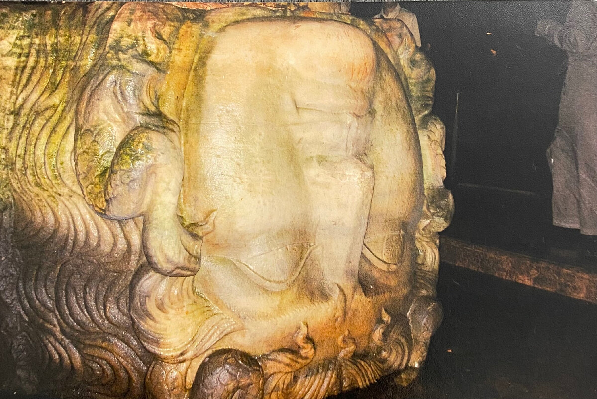 Вблизи головы просто огромные