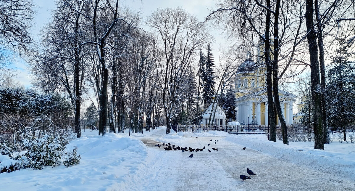 Парковый ансамбль