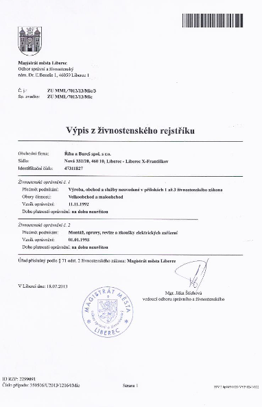 Пример документа об открытии ИП