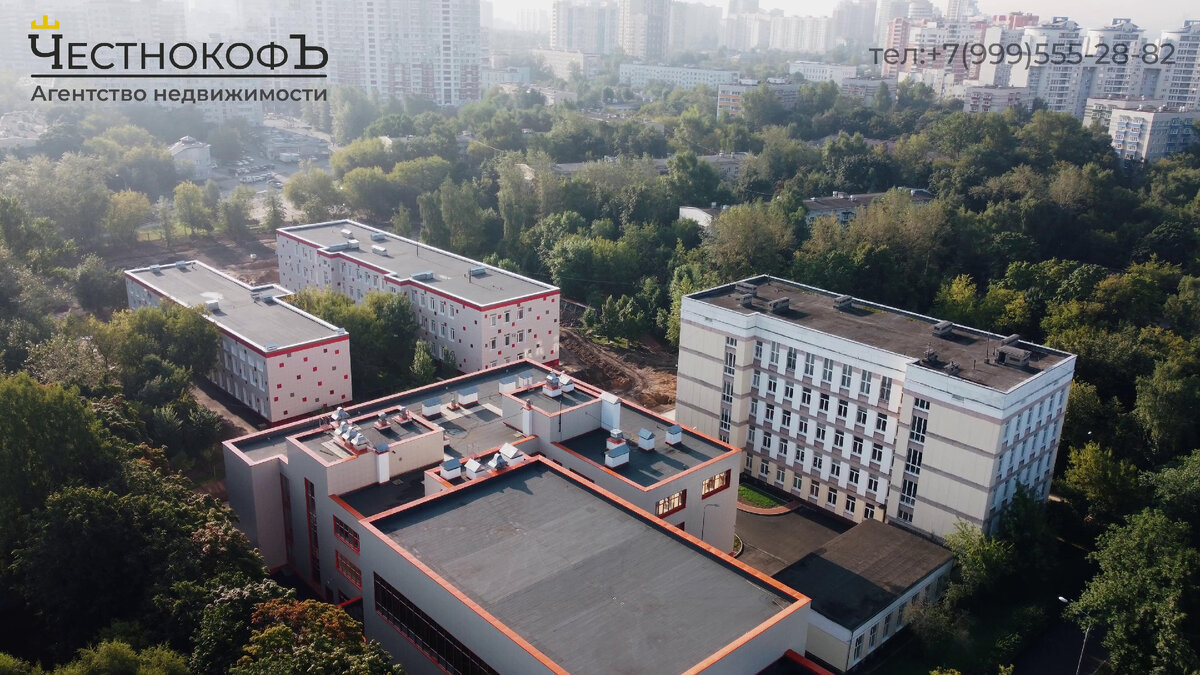 13 друзей велтон парк. 13 друзей велтон парк. 13 друзей велтон парк. 13 друзей велтон парк. 13 друзей велтон парк.