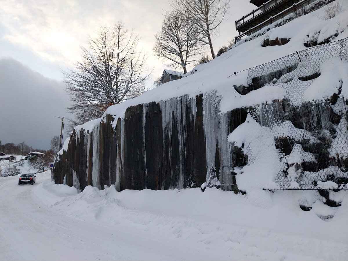 зима это снега морозы метели и голод. метель явление природы. февральские морозы. холодный туман обои. природные явления снегопад.