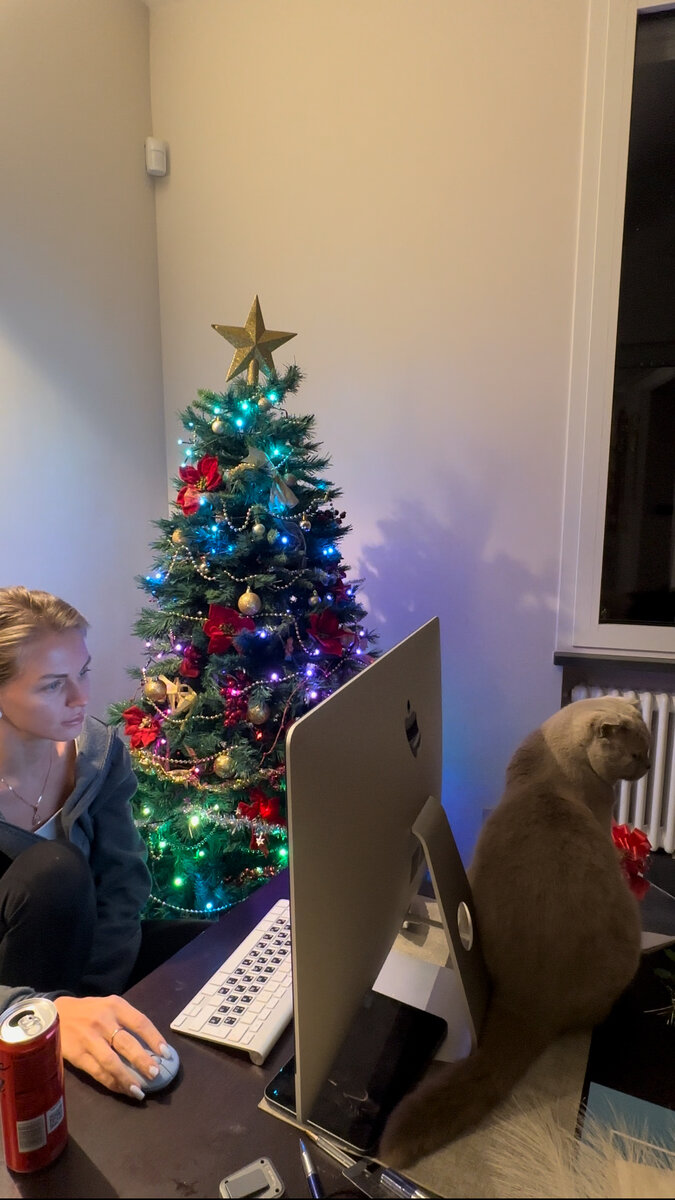 появились дублирующие. дублирующие дорожные знаки пешеходный переход. дублирующий светофор. появились дублирующие. установка дублирующих дорожных знаков.