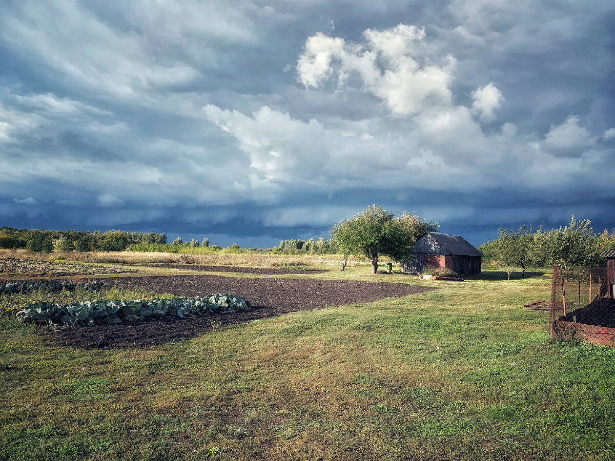 Проект жилой дом архитектура. Красивые коттеджи. Идейный дом. A frame house эндрю геллер. Идейный дом.