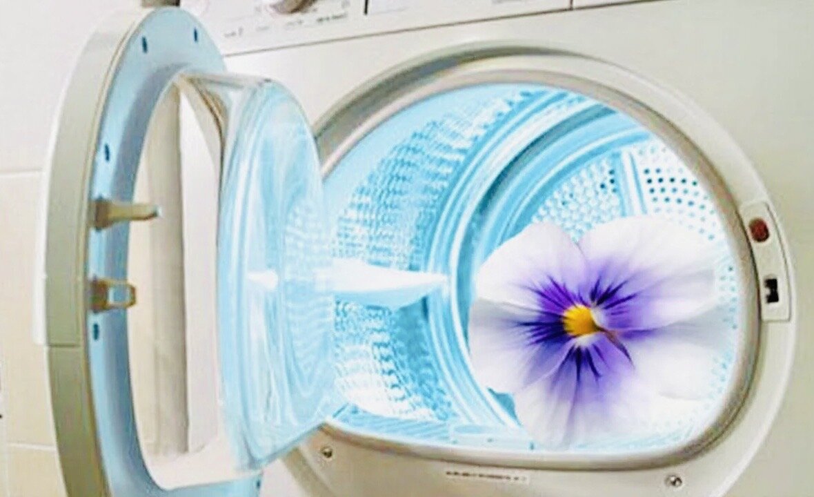 Вонь из стиральной машинки. Цветы на стиральной машине. Цветы из стиральной машины. Необычная стиральная машина. Воняет стиралка