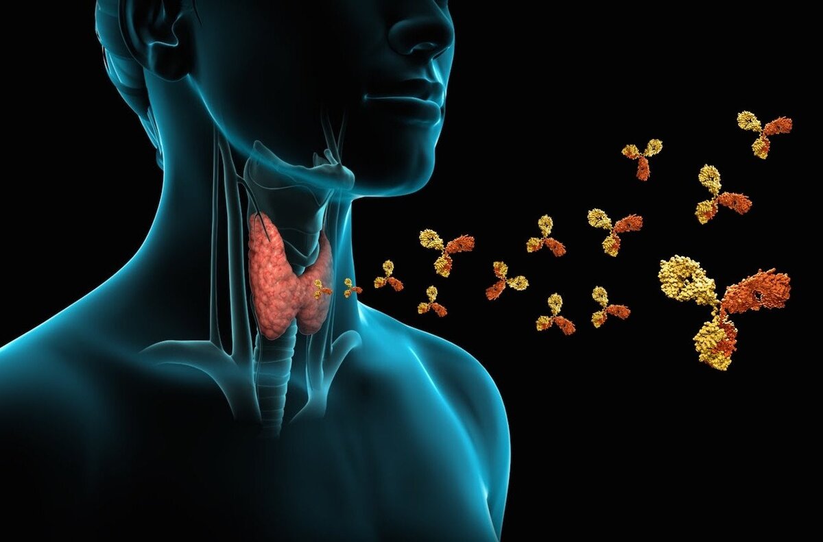 В организме не хватает йода: как понять и чем восполнить
