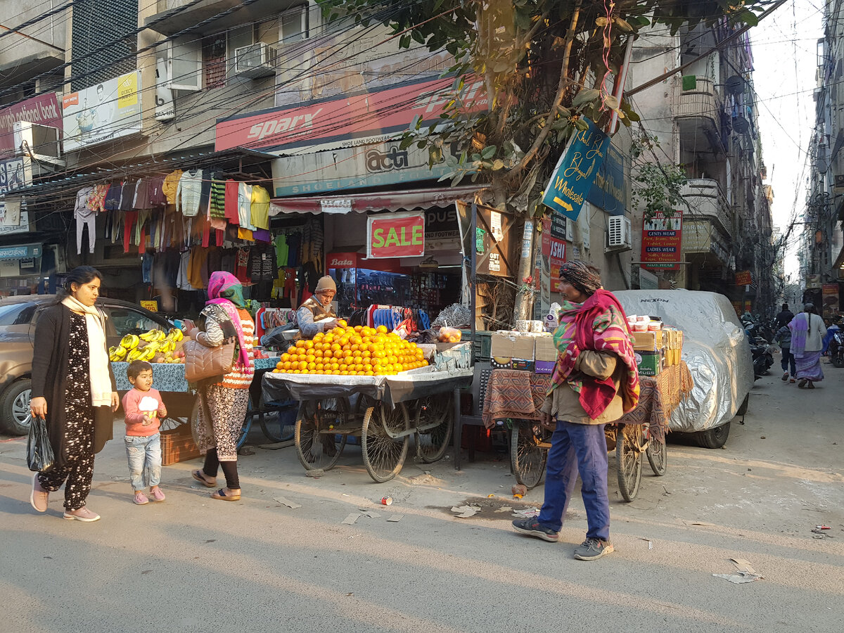 чем проще организм тем. чем проще организм тем. обмен веществ и энергии в организме схема. процесс метаболизма схема. организм человека 4 класс.