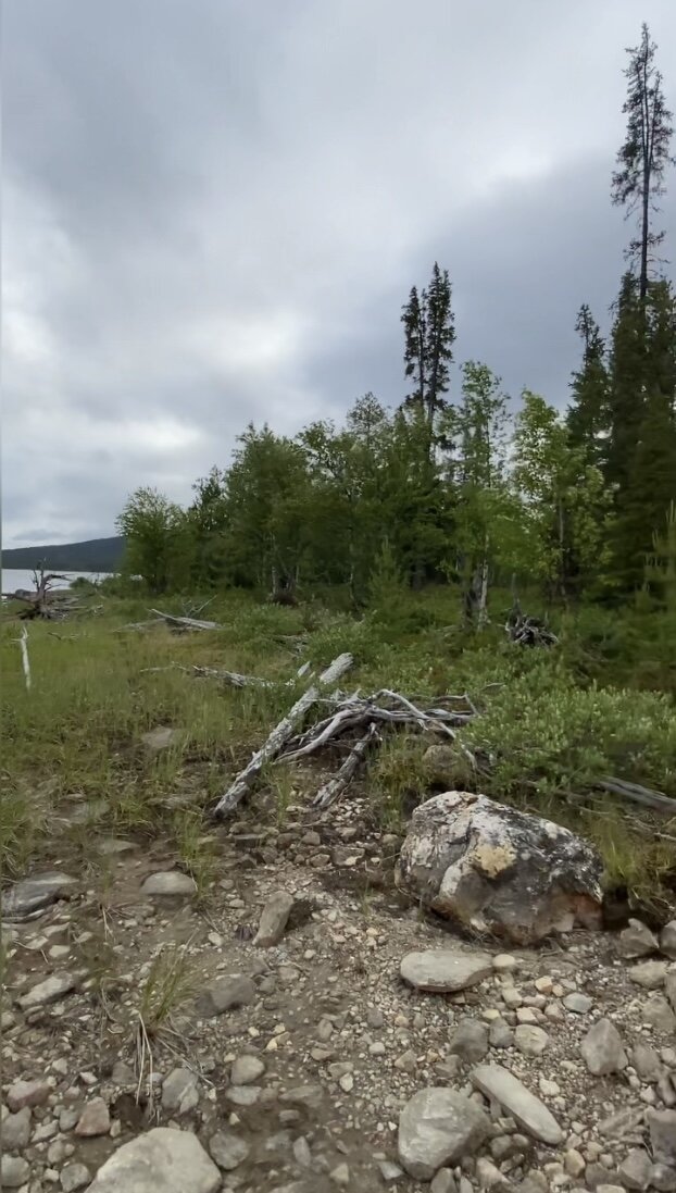 Казалось бы столь же суровая, но уже теплая природа.