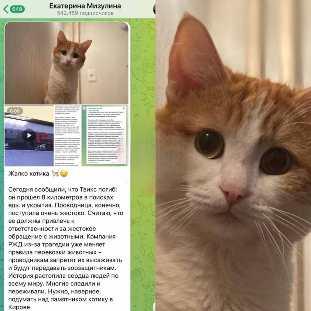 Госпожа Мизулина повышает ставки: памятник коту Твиксу, по ее экспертному разумению, срочно надобен в Кирове! Все остальное в Кирове, надо думать, уже в достатке и в избытке имеется.. 