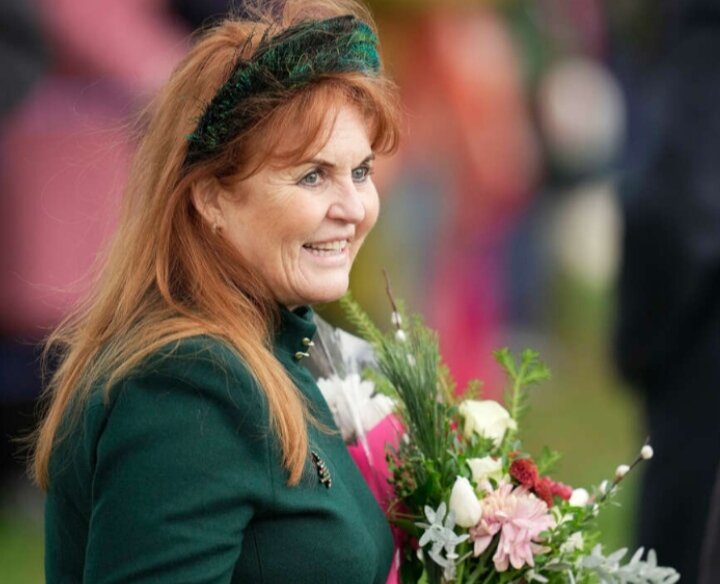 картинка пока. громкость звука. звуки в слове лиса. громкость звука. звук 4 пока.