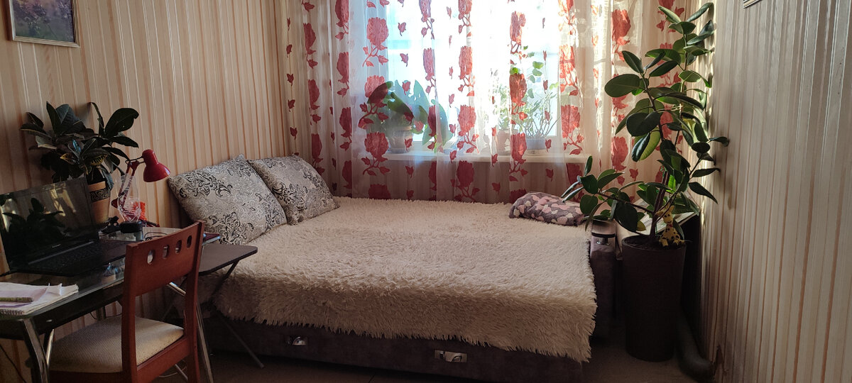 Я даже у своего фикуса все листочки вытерла 😁